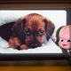Illustration for article titled Five Disturbingly Weird Things That Happen in iThe Boss Baby/i